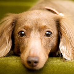 からめー(´▽`)ノ