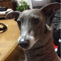 りょーすけのトーク