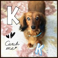 ちー( ´ ▽ ` )ﾉ