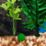 チャン森野の日記