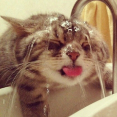 ZONE_粽粽粽粽粽のトーク