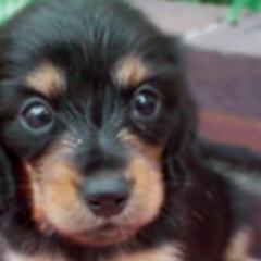 あれしたいです❤️❤️