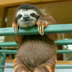 TSU、スー、SNS、稼げる、広告収入、