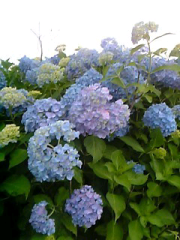 nukayasuのトーク