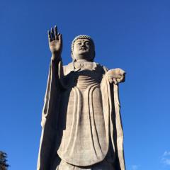 わんこのトーク