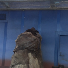 きよちゃんのトーク