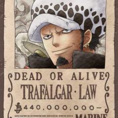 トラファルガー・D・ロー