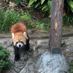 755初心者ぐるーぷ