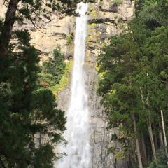 目指すは世界遺産でのライブ。