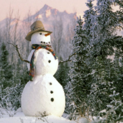 ひむたんびーむ