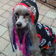 ナベッチのトーク