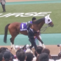 週刊角ちゃん競馬DX(復刻版?)