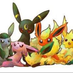 ポケモンの交流の場として！