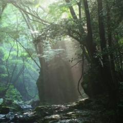 ☆20代〜30代の仲間でべしゃり隊☆