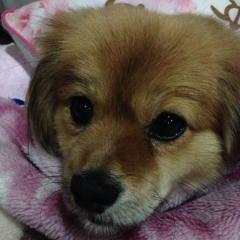 冴那