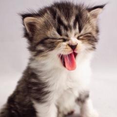 ゆーか専用部屋