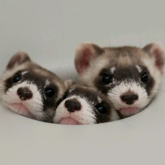 あーたんのトーク