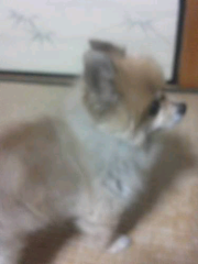 ひろき@AKBG大好き！！