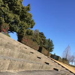 新米ママの日常