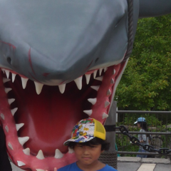 かいざきひろき