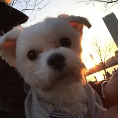 まさのこれから