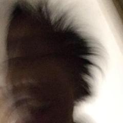 baseballのトーク