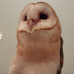 のんびりするところ。