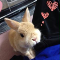 音楽好きな人集まれ〜♪＊