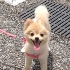 女子小学生グループ作りたいなぁ💕