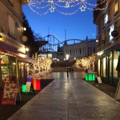 積極的なネコ！！