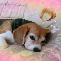 景ちゃんのトーク