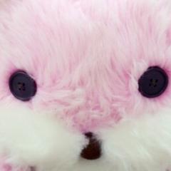 へーんしんっ!!