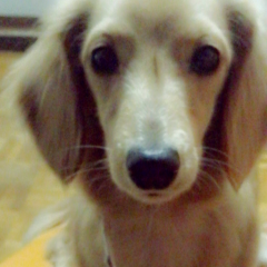 トモダチになりたいです♥