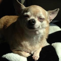 やきそばとの密会