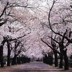 ☆ALのトーク☆