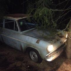 関西の暴走族、ヤンキー集合❗️