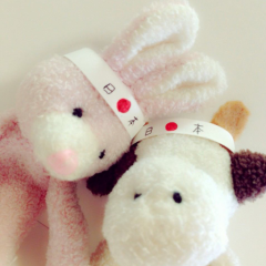 ♩47都道府県グループ♬