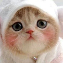 暇な人来て♪小５女です★