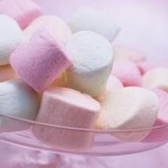 ❤♡マシュマロ隊♡❤