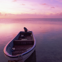 あ～にゃんとの思い出ルーム 最後に感謝のコメント書きました♪