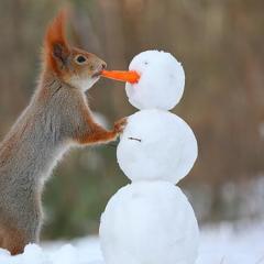 ら⭕️んしよー！