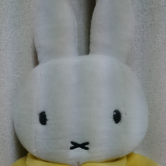 ミッフィーパパ