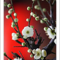 仙台の人居ませんか⁉️