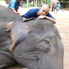 赤見研二の宇宙的無駄話