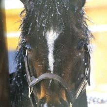 たまにはゆっくり話そうか？