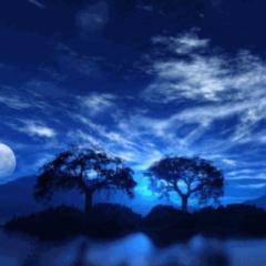 リトーク置き場