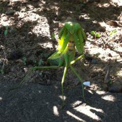 いしみんのトーク