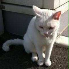 FMじーな じなのじなから