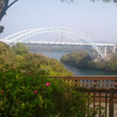 春はまだかなぁ…(￣^￣゜)