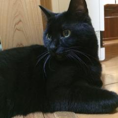 アラサー・アラフォー集まれ